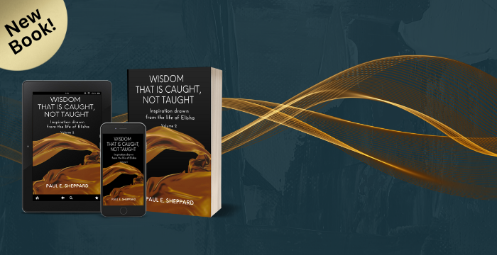 Wisdom That Is Caught, Not Taught Vol. 2 (Book)