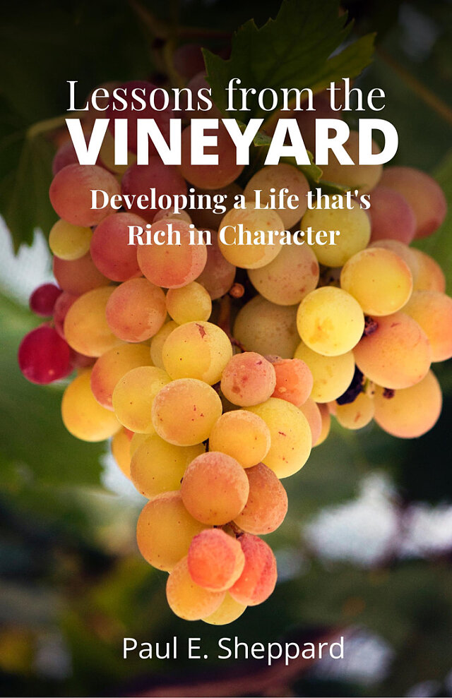 lessons from the vineyard cover
